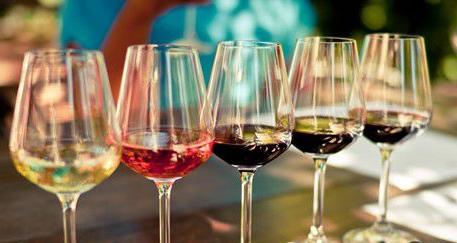 Winetasting